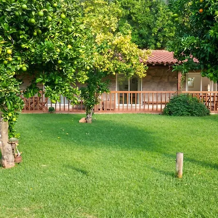 Villa Elegant With Panoramic Views In Caniçada